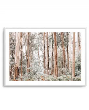 Through the Gum Trees by oliveetoriel.com, a Prints for sale on Style Sourcebook