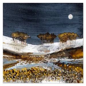 Midnight Reflection , By Louise O'hara by Gioia Wall Art, a Prints for sale on Style Sourcebook