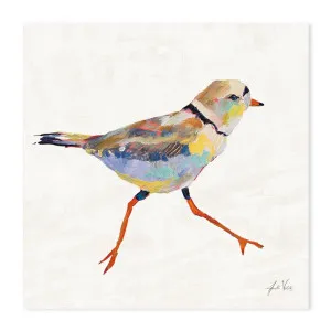 Coastal Plover Linen, Style A , By Jeanette Vertentes by Gioia Wall Art, a Prints for sale on Style Sourcebook