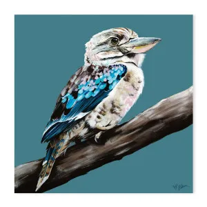 Kookaburra Blue, Style B by Gioia Wall Art, a Prints for sale on Style Sourcebook