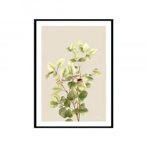 Eucalyptus Native Living 3 in Ivory Fine Art Print | FRAMED Black Boxed Frame A3 (29.7cm x 42cm) With White Border by Luxe Mirrors, a Artwork & Wall Decor for sale on Style Sourcebook