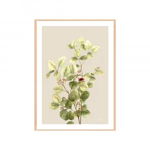 Eucalyptus Native Living 3 in Ivory Fine Art Print | FRAMED Tasmanian Oak Boxed Frame A3 (29.7cm x 42cm) With White Border by Luxe Mirrors, a Artwork & Wall Decor for sale on Style Sourcebook