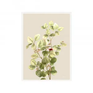 Eucalyptus Native Living 3 in Ivory Fine Art Print | FRAMED White Boxed Frame A3 (29.7cm x 42cm) No White Border by Luxe Mirrors, a Artwork & Wall Decor for sale on Style Sourcebook