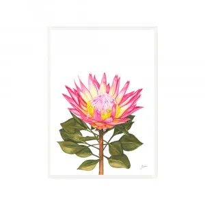 Protea Living Fine Art Print | FRAMED White Boxed Frame A3 (29.7cm x 42cm) by Luxe Mirrors, a Artwork & Wall Decor for sale on Style Sourcebook