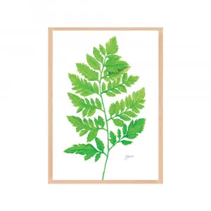 Lush Fern Living Wall Art | FRAMED Tasmanian Oak Boxed Frame A3 (29.7cm x 42cm) by Luxe Mirrors, a Artwork & Wall Decor for sale on Style Sourcebook