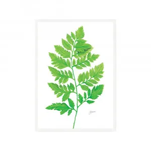 Lush Fern Living Wall Art | FRAMED White Boxed Frame A3 (29.7cm x 42cm) by Luxe Mirrors, a Artwork & Wall Decor for sale on Style Sourcebook