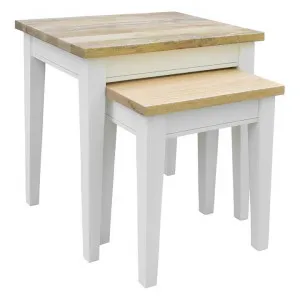 Wenchel Mango Wood 2 Piece Nested Table Set by Dodicci, a Side Table for sale on Style Sourcebook