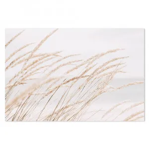 Dune Grass By The Beach, Soft Tone by Gioia Wall Art, a Prints for sale on Style Sourcebook
