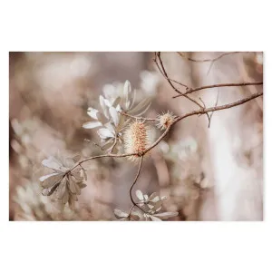 Brown Bohemian Native Plants by Gioia Wall Art, a Prints for sale on Style Sourcebook