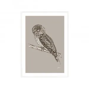 Tawny Frogmouth Australian Bird in Pine Cone Fine Art Print | FRAMED White Boxed Frame A3 (29.7cm x 42cm) by Luxe Mirrors, a Artwork & Wall Decor for sale on Style Sourcebook