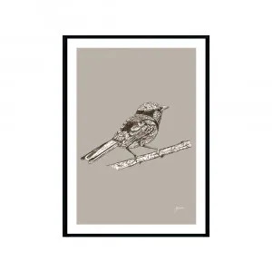 Splendid Fairy-Wren Australian Bird in Pine Cone Fine Art Print | FRAMED Black Boxed Frame A3 (29.7cm x 42cm) by Luxe Mirrors, a Artwork & Wall Decor for sale on Style Sourcebook