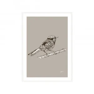 Splendid Fairy-Wren Australian Bird in Pine Cone Fine Art Print | FRAMED White Boxed Frame A3 (29.7cm x 42cm) by Luxe Mirrors, a Artwork & Wall Decor for sale on Style Sourcebook