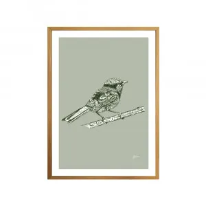 Splendid Fairy-Wren Australian Bird in Willow Green Fine Art Print | FRAMED Tasmanian Oak Boxed Frame A3 (29.7cm x 42cm) by Luxe Mirrors, a Artwork & Wall Decor for sale on Style Sourcebook