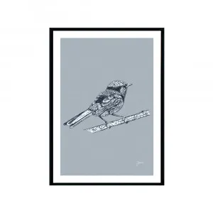 Splendid Fairy-Wren Australian Bird in Wedgewood Blue Fine Art Print | FRAMED Black Boxed Frame A3 (29.7cm x 42cm) by Luxe Mirrors, a Artwork & Wall Decor for sale on Style Sourcebook