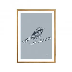 Splendid Fairy-Wren Australian Bird in Wedgewood Blue Fine Art Print | FRAMED Tasmanian Oak Boxed Frame A3 (29.7cm x 42cm) by Luxe Mirrors, a Artwork & Wall Decor for sale on Style Sourcebook