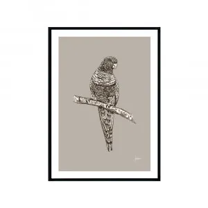 Rosella Australian Bird in Pine Cone Fine Art Print | FRAMED Black Boxed Frame A3 (29.7cm x 42cm) by Luxe Mirrors, a Artwork & Wall Decor for sale on Style Sourcebook