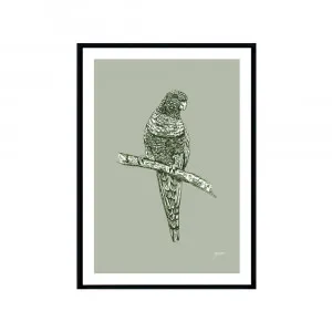 Rosella Australian Bird in Willow Green Fine Art Print | FRAMED Black Boxed Frame A3 (29.7cm x 42cm) by Luxe Mirrors, a Artwork & Wall Decor for sale on Style Sourcebook