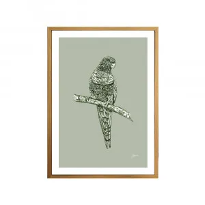 Rosella Australian Bird in Willow Green Fine Art Print | FRAMED Tasmanian Oak Boxed Frame A3 (29.7cm x 42cm) by Luxe Mirrors, a Artwork & Wall Decor for sale on Style Sourcebook