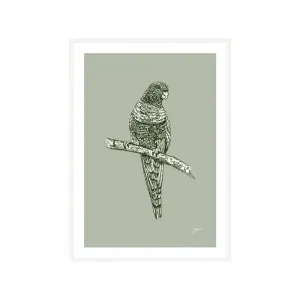 Rosella Australian Bird in Willow Green Fine Art Print | FRAMED White Boxed Frame A3 (29.7cm x 42cm) by Luxe Mirrors, a Artwork & Wall Decor for sale on Style Sourcebook