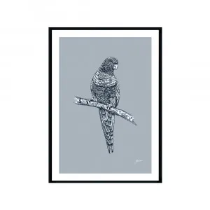 Rosella Australian Bird in Wedgewood Blue Fine Art Print | FRAMED Black Boxed Frame A3 (29.7cm x 42cm) by Luxe Mirrors, a Artwork & Wall Decor for sale on Style Sourcebook