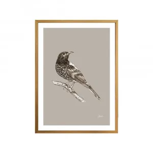 Regent Honeyeater Australian Bird in  Pine Cone Fine Art Print | FRAMED Tasmanian Oak Boxed Frame A3 (29.7cm x 42cm) by Luxe Mirrors, a Artwork & Wall Decor for sale on Style Sourcebook