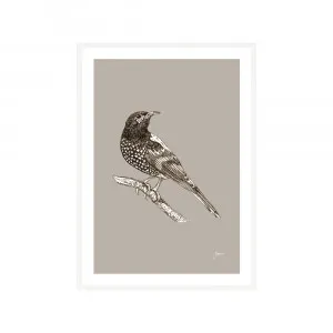 Regent Honeyeater Australian Bird in  Pine Cone Fine Art Print | FRAMED White Boxed Frame A3 (29.7cm x 42cm) by Luxe Mirrors, a Artwork & Wall Decor for sale on Style Sourcebook