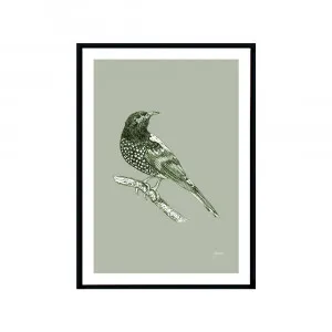 Regent Honeyeater Australian Bird in Willow Green Fine Art Print | FRAMED Black Boxed Frame A3 (29.7cm x 42cm) by Luxe Mirrors, a Artwork & Wall Decor for sale on Style Sourcebook