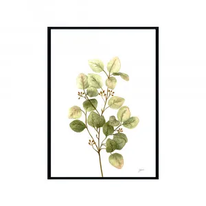 Eucalyptus Native Living 1 in White Fine Art Print | FRAMED Black Boxed Frame A3 (29.7cm x 42cm) by Luxe Mirrors, a Artwork & Wall Decor for sale on Style Sourcebook