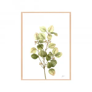 Eucalyptus Native Living 1 in White Fine Art Print | FRAMED Tasmanian Oak Boxed Frame A3 (29.7cm x 42cm) by Luxe Mirrors, a Artwork & Wall Decor for sale on Style Sourcebook