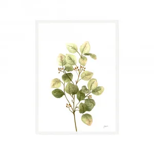 Eucalyptus Native Living 1 in White Fine Art Print | FRAMED White Boxed Frame A3 (29.7cm x 42cm) by Luxe Mirrors, a Artwork & Wall Decor for sale on Style Sourcebook