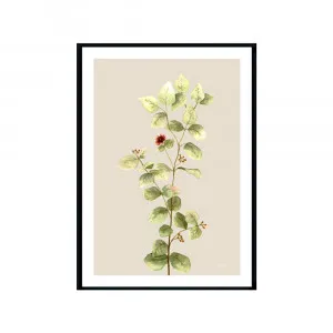 Eucalyptus Native Living 2 in Ivory Fine Art Print | FRAMED Black Boxed Frame A3 (29.7cm x 42cm) With White Border by Luxe Mirrors, a Artwork & Wall Decor for sale on Style Sourcebook