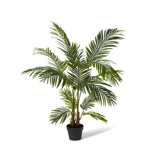 Areca Palm Potted Plant Green - 90cm x 90cm x 120cm by James Lane, a Plants for sale on Style Sourcebook