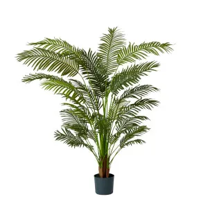 Areca Palm Tree - 110cm x 110cm x 183cm by James Lane, a Plants for sale on Style Sourcebook