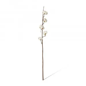 Cotton Stem White/Brown - 15cm x 8cm x 90cm by James Lane, a Plants for sale on Style Sourcebook