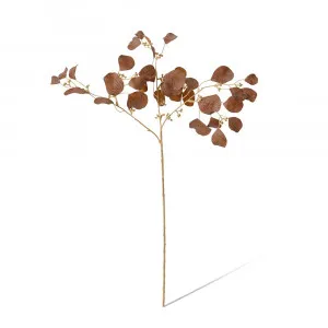 Eucalyptus Decor Brown Spray - 25cm x 12cm x 67cm by James Lane, a Plants for sale on Style Sourcebook