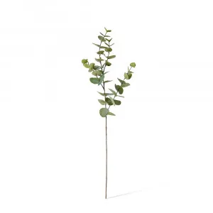 Eucalyptus Dollar Spray Grey Green - 94cm by James Lane, a Plants for sale on Style Sourcebook