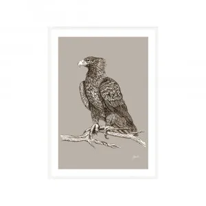 Wedgetail Eagle Australian Bird in Pine Cone Fine Art Print | FRAMED White Boxed Frame A3 (29.7cm x 42cm) by Luxe Mirrors, a Artwork & Wall Decor for sale on Style Sourcebook