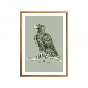 Wedgetail Eagle Australian Bird in Willow Green Fine Art Print | FRAMED Tasmanian Oak Boxed Frame A3 (29.7cm x 42cm) by Luxe Mirrors, a Artwork & Wall Decor for sale on Style Sourcebook