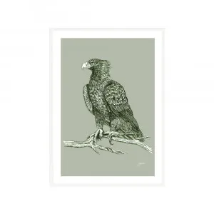 Wedgetail Eagle Australian Bird in Willow Green Fine Art Print | FRAMED White Boxed Frame A3 (29.7cm x 42cm) by Luxe Mirrors, a Artwork & Wall Decor for sale on Style Sourcebook