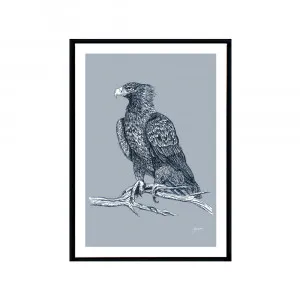 Wedgetail Eagle Australian Bird in Wedgewood Blue Fine Art Print | FRAMED Black Boxed Frame A3 (29.7cm x 42cm) by Luxe Mirrors, a Artwork & Wall Decor for sale on Style Sourcebook