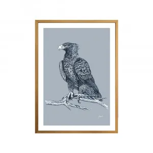 Wedgetail Eagle Australian Bird in Wedgewood Blue Fine Art Print | FRAMED Tasmanian Oak Boxed Frame A3 (29.7cm x 42cm) by Luxe Mirrors, a Artwork & Wall Decor for sale on Style Sourcebook