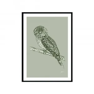 Tawny Frogmouth Australian Bird in Willow Green Fine Art Print | FRAMED Black Boxed Frame A3 (29.7cm x 42cm) by Luxe Mirrors, a Artwork & Wall Decor for sale on Style Sourcebook