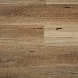 Woodland Hybrid Flooring Spotted Gum (per box) by Hurford's, a Hybrid Flooring for sale on Style Sourcebook
