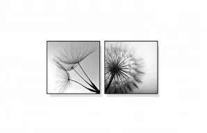 Set of 2 Dandelion Wall Art Canvas 3 sizes available 50cm x 50cm by Luxe Mirrors, a Artwork & Wall Decor for sale on Style Sourcebook