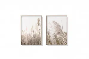 Set of 2 Pampas Grass Wall Art Canvas 3 sizes available 60cm x 40cm by Luxe Mirrors, a Artwork & Wall Decor for sale on Style Sourcebook