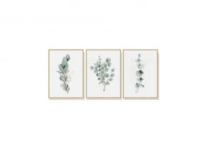 Set of 3 Botanical Plant Eucalyptus Wall Art Canvas 3 sizes available 60cm x 40cm by Luxe Mirrors, a Artwork & Wall Decor for sale on Style Sourcebook