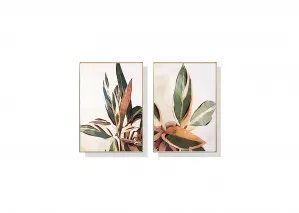 Set of 2 Botanical Leaves Wall Art Canvas 3 sizes available 60cm x 40cm by Luxe Mirrors, a Artwork & Wall Decor for sale on Style Sourcebook