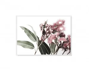 Blooming Eucalyptus Wall Art Canvas 3 sizes available 50cm x 70cm by Luxe Mirrors, a Artwork & Wall Decor for sale on Style Sourcebook