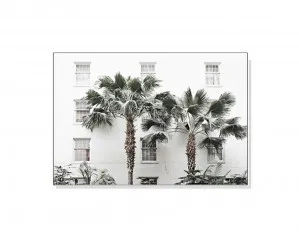 Palm Tree Wall Art Canvas 3 sizes available 50cm x 70cm by Luxe Mirrors, a Artwork & Wall Decor for sale on Style Sourcebook