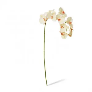 Phalaenopsis Lush Stem - 35 x 15 x 97cm by Elme Living, a Plants for sale on Style Sourcebook